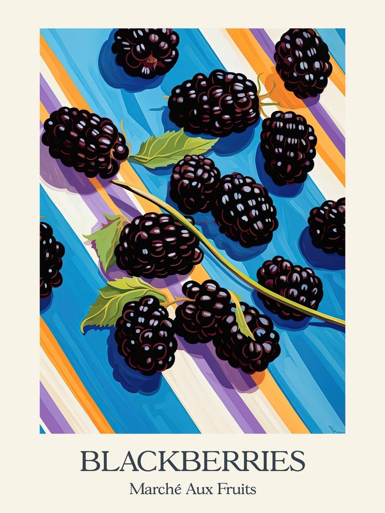 Marche Aux Fruits Blackberries Fruit Summer Illustration 4
