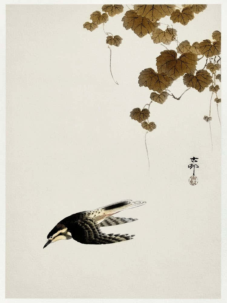 Bird In Downward Flight (1900 1930), Ohara Koson