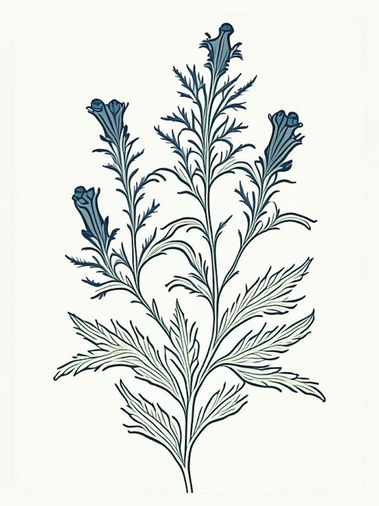 Skullcap Herb William Morris Inspired Line Drawing 2