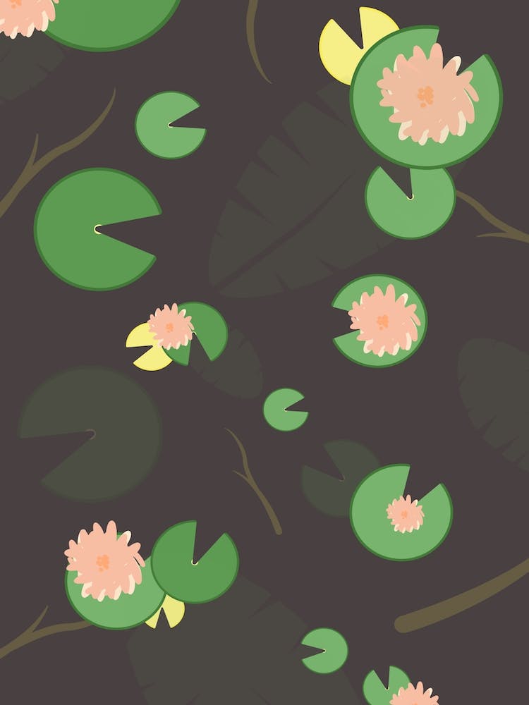 Dear Waterlily