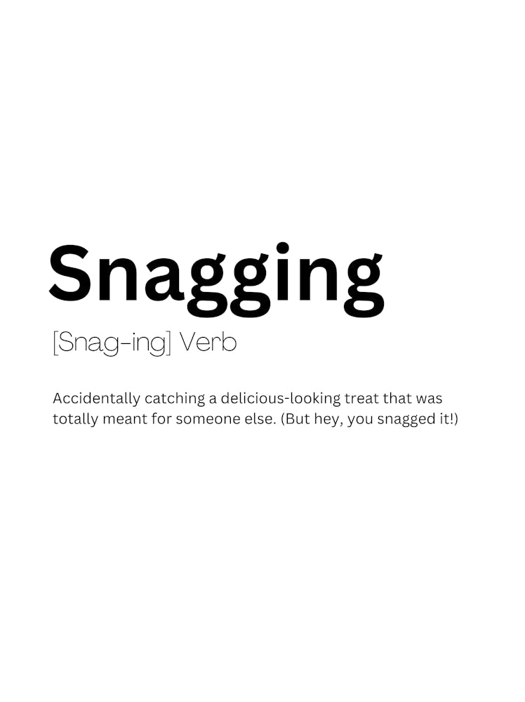 Snagging Definition Meaning