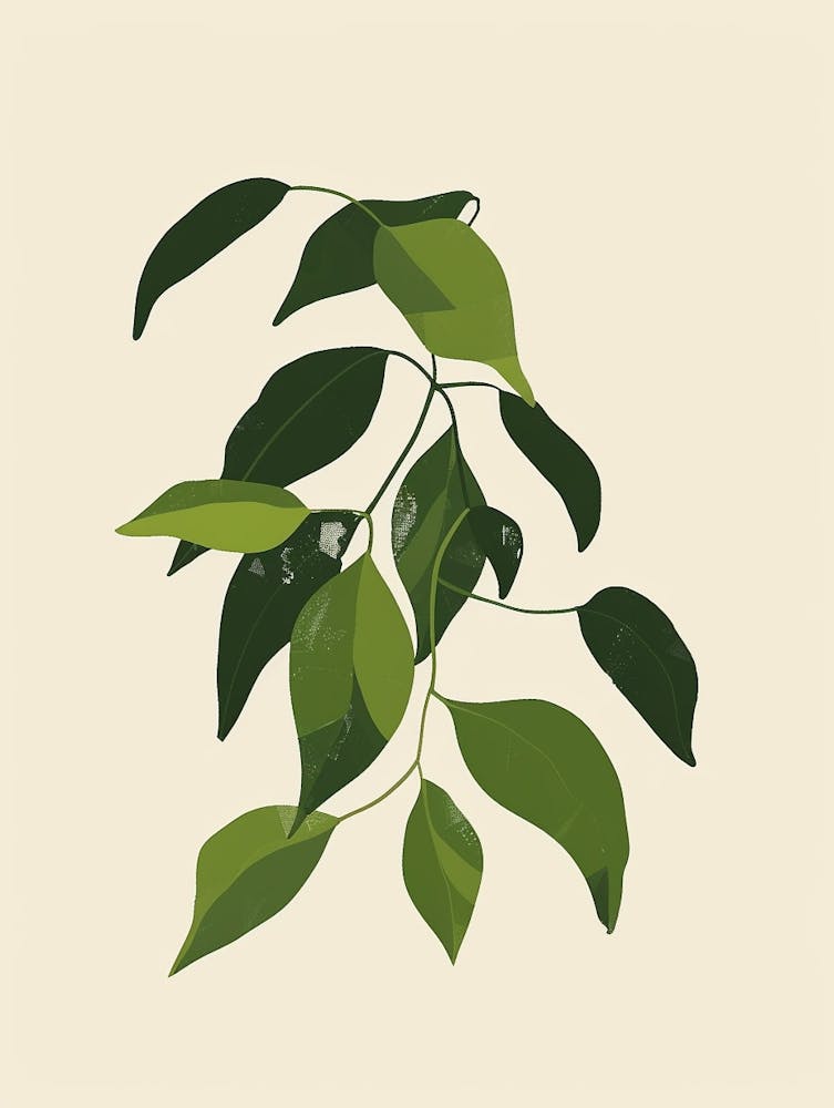 Wandering Jew Plant Minimalist Illustration 8