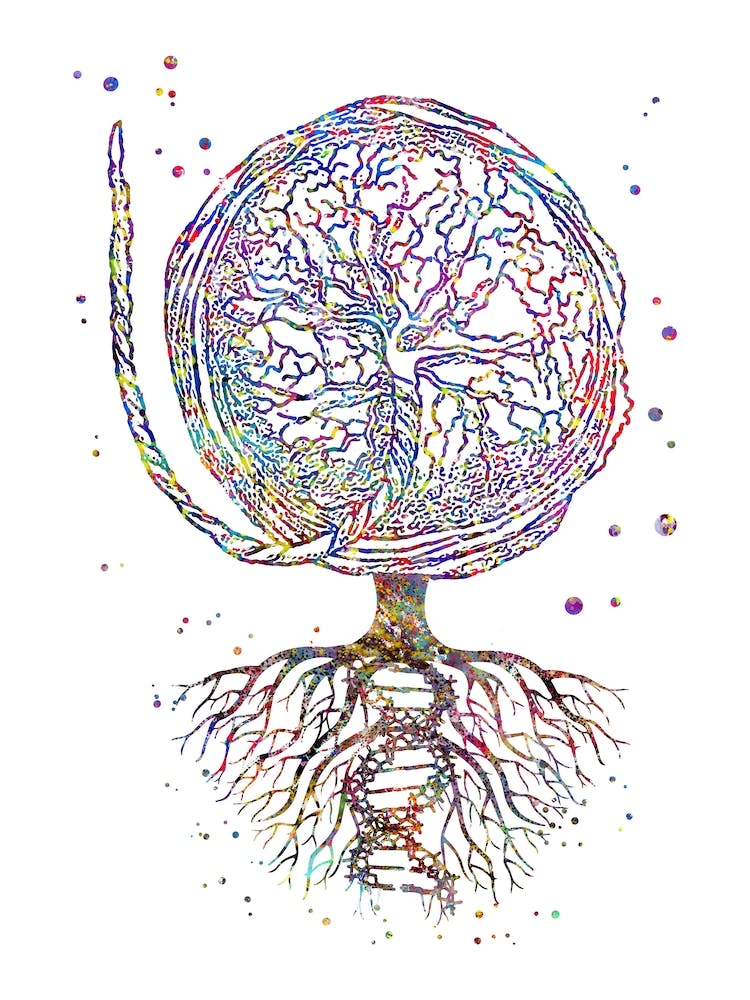 Placenta With The Roots Of DNA Watercolor Tree OF Life