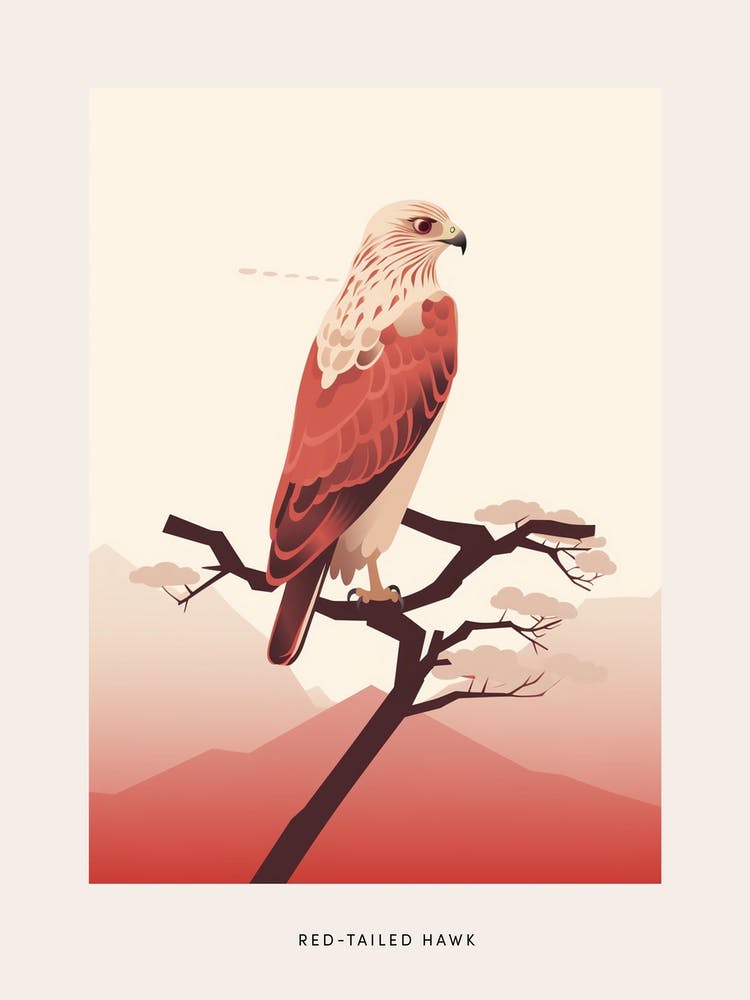 Minimalist Red Tailed Hawk 4 Bird Poster