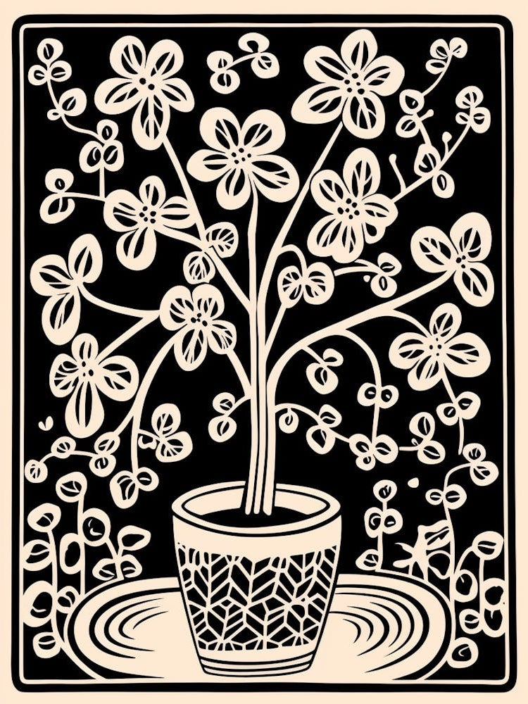 B&W Plant Illustration Wax Plant