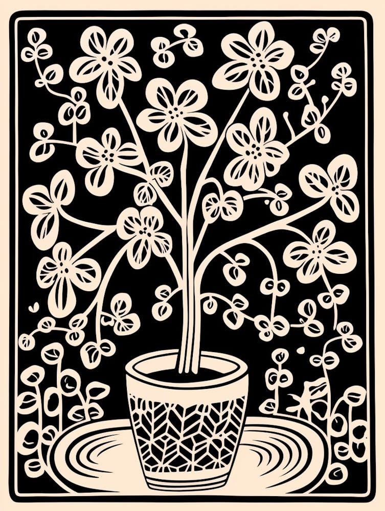 B&W Plant Illustration Wax Plant