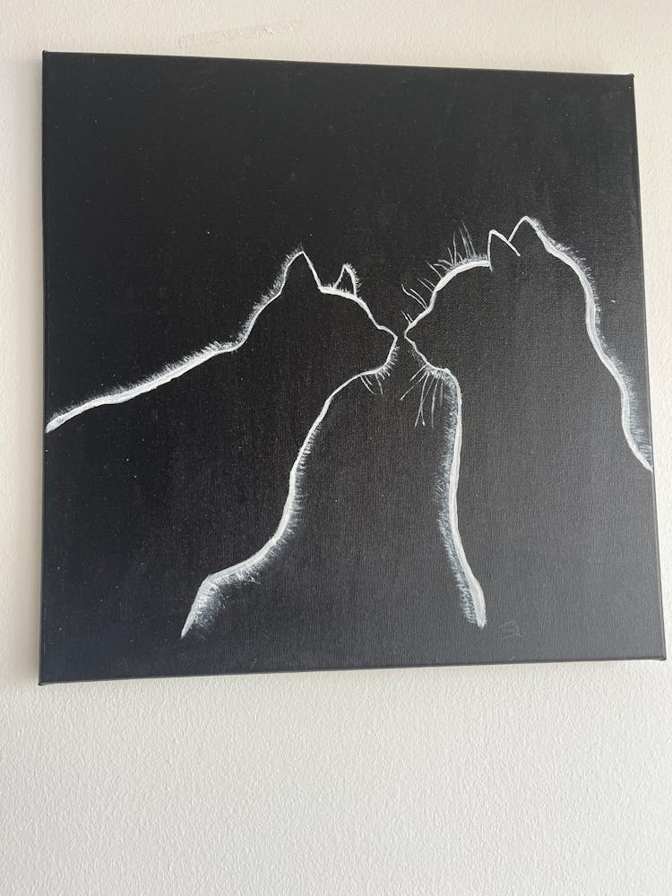 Love and cats………….