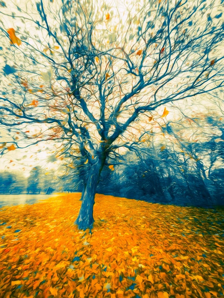 Fallen Leaves Of Autumn