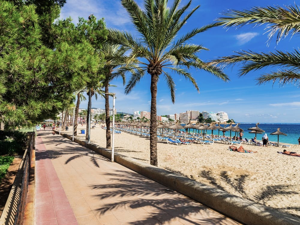 Magaluf Palm Trees On The Beach