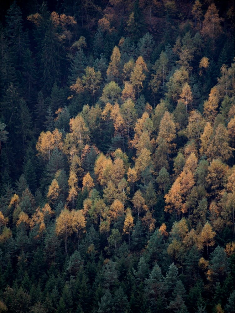 Autumn In All Its Beauty