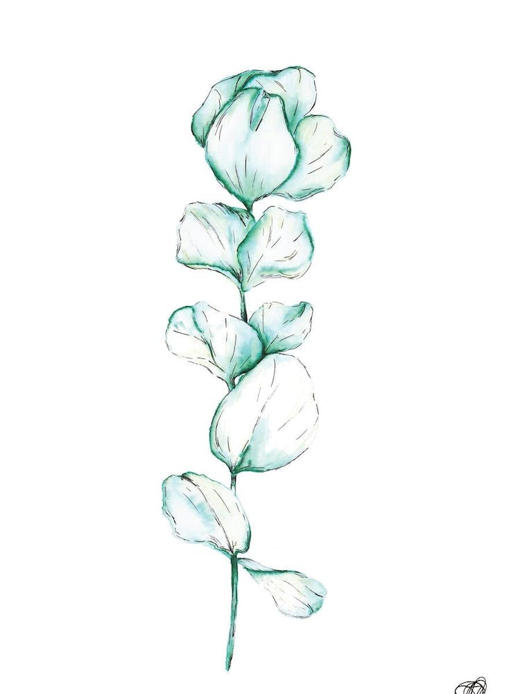Watercolour Stem
