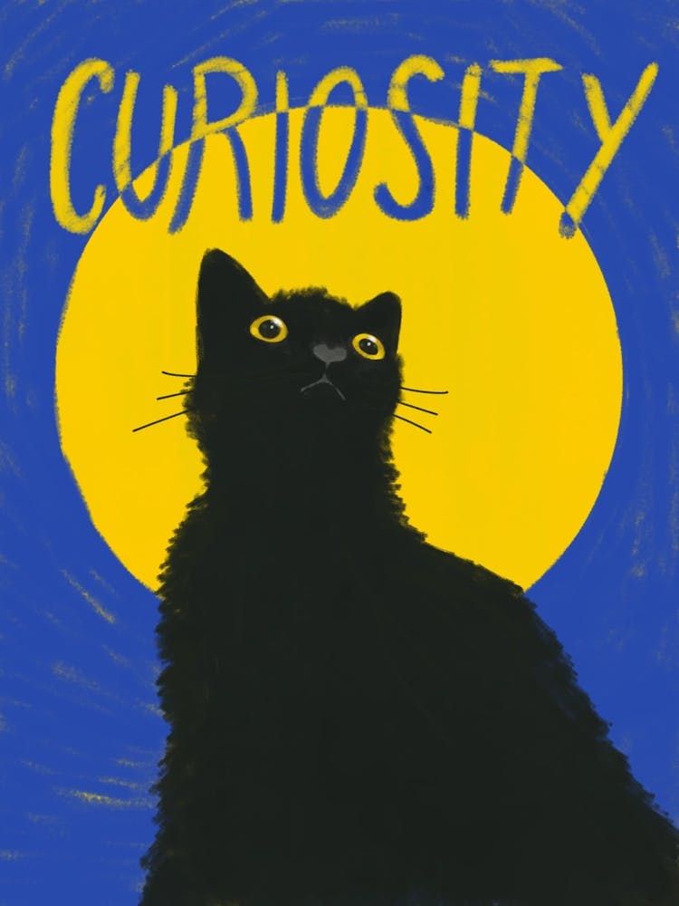 Curiosity - Black Cat On Yellow and Blue Background