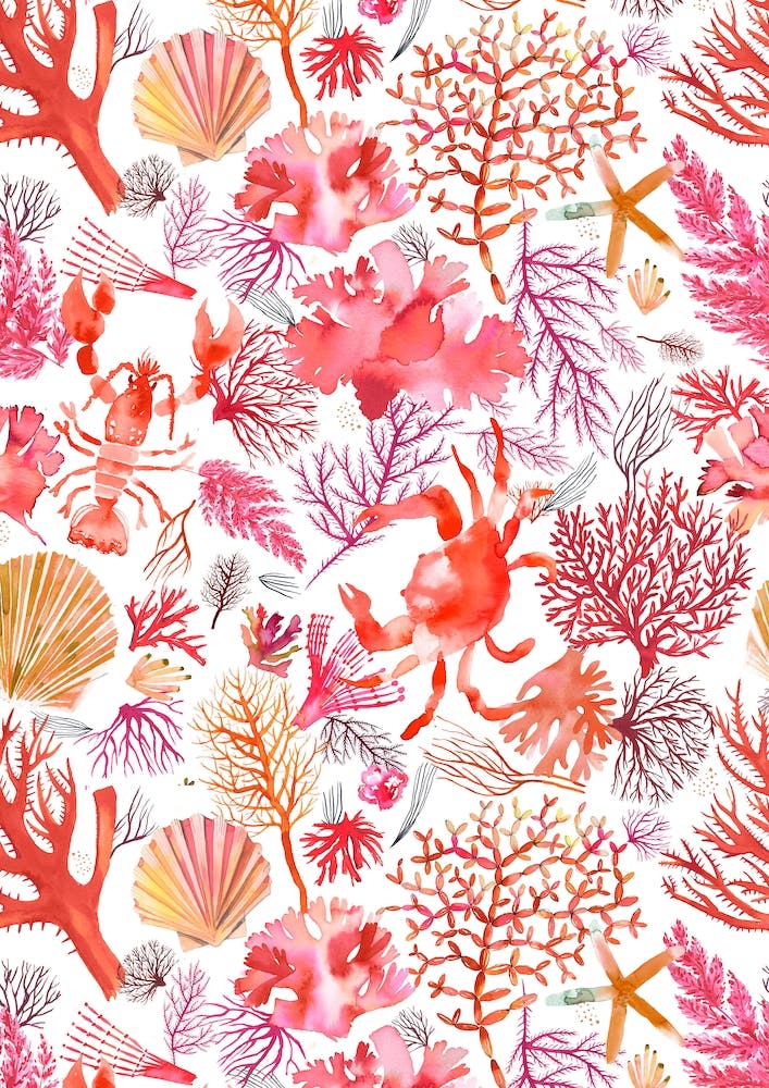 Corals Reef Crab Orange