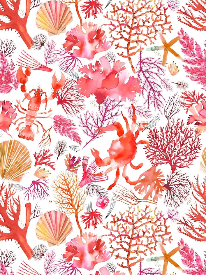 Corals Reef Crab Orange