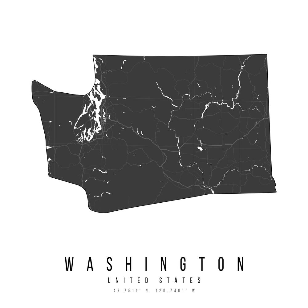 Washington Mono Black And White Modern Minimal Street Map Square
