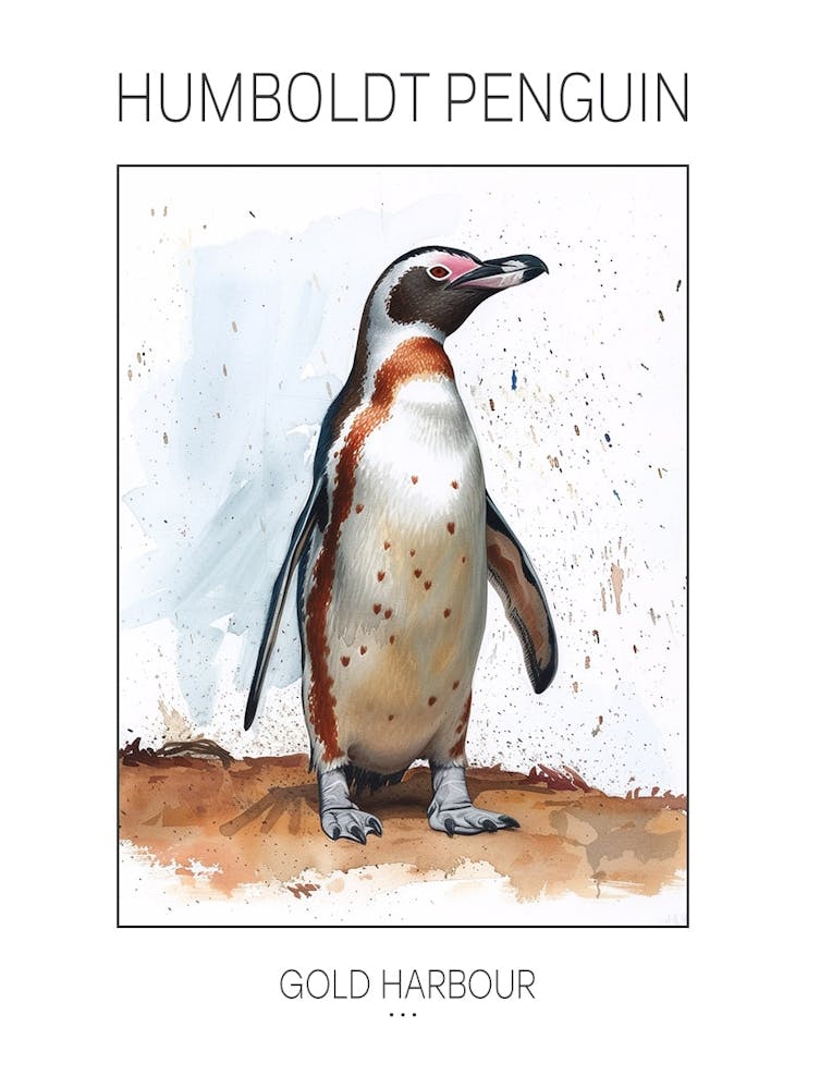 Humboldt Penguin Gold Harbour Watercolour Painting 2 Poster