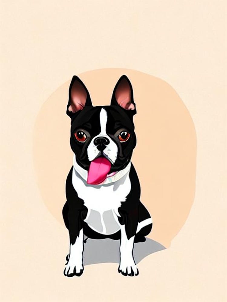 Boston Terrier Illustration Dog
