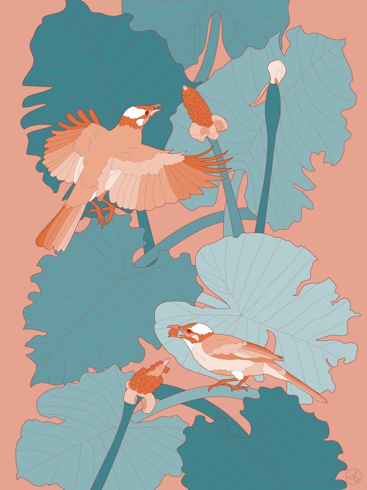 Orange Birds With Turquoise Leaves