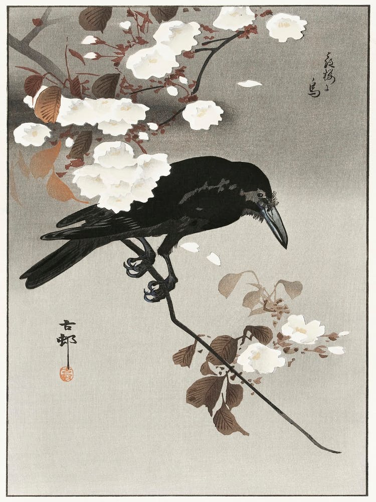 Crow And Cherry Blossom (1930 1975), Ohara Koson