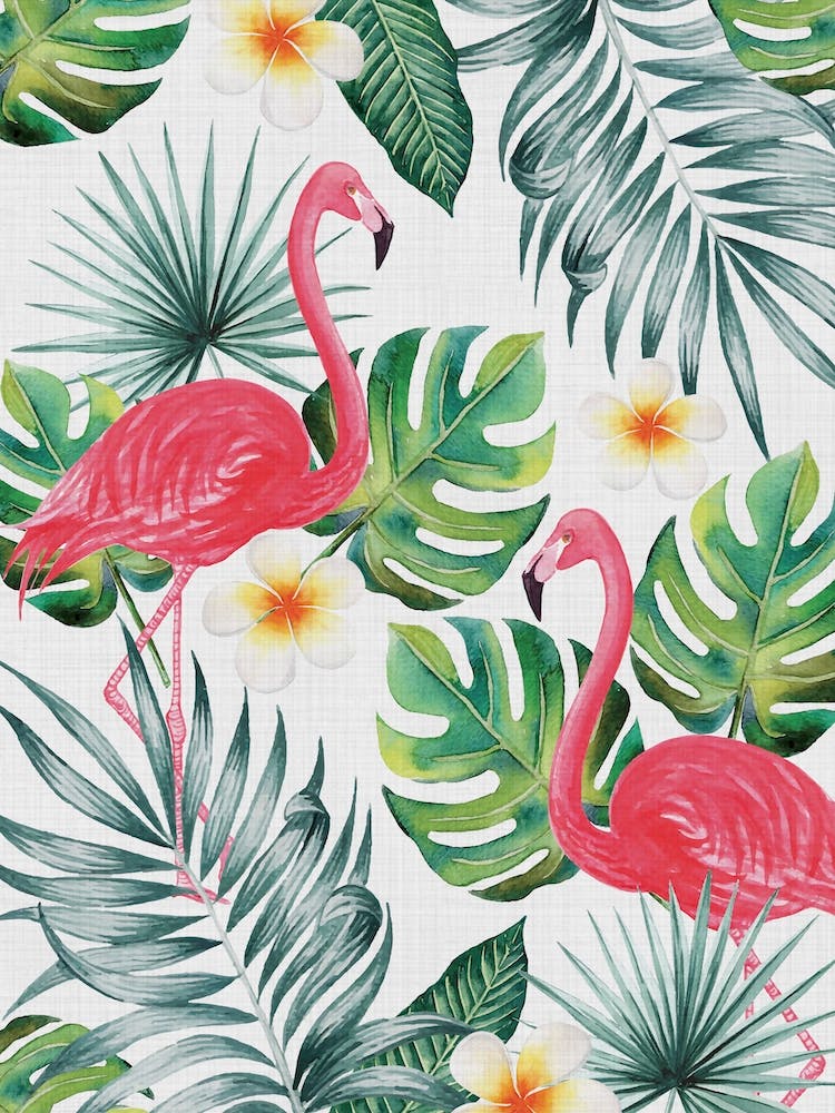 Tropical Flamingos