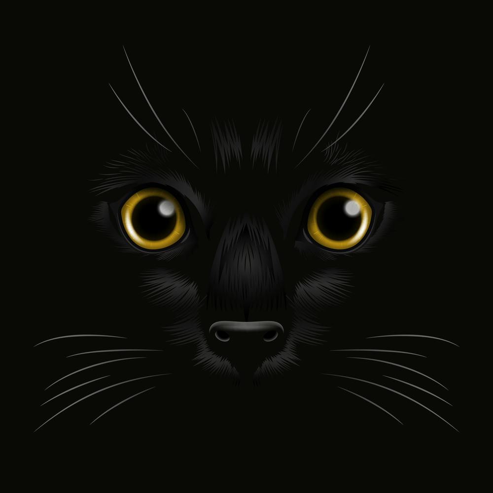 Black Cat Face