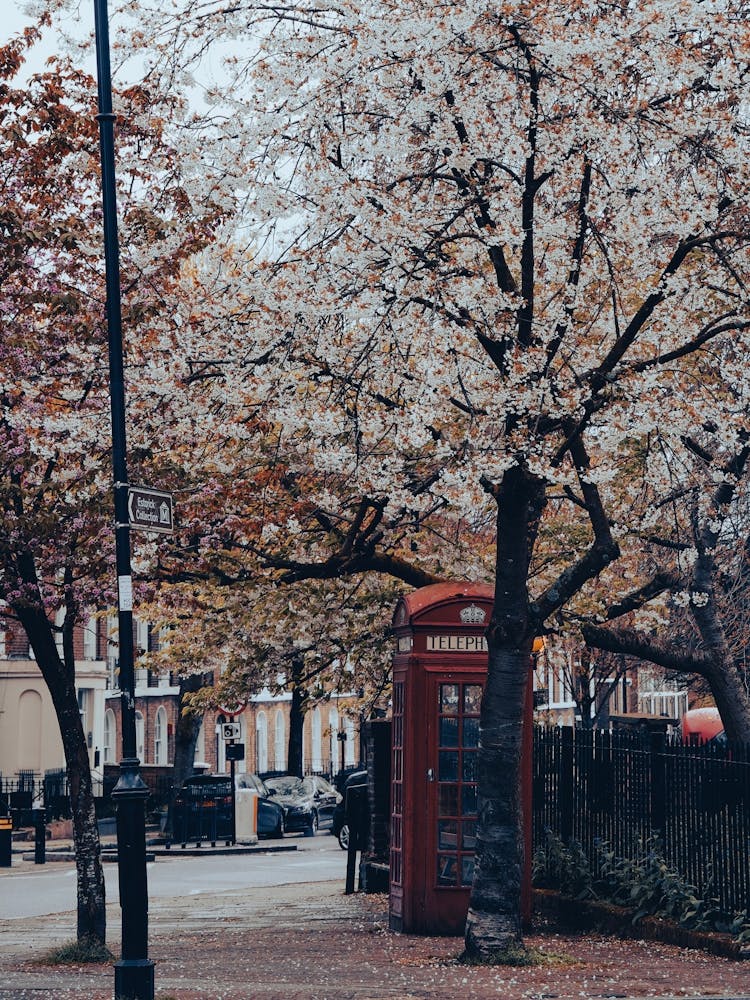 Telephone Box in London England