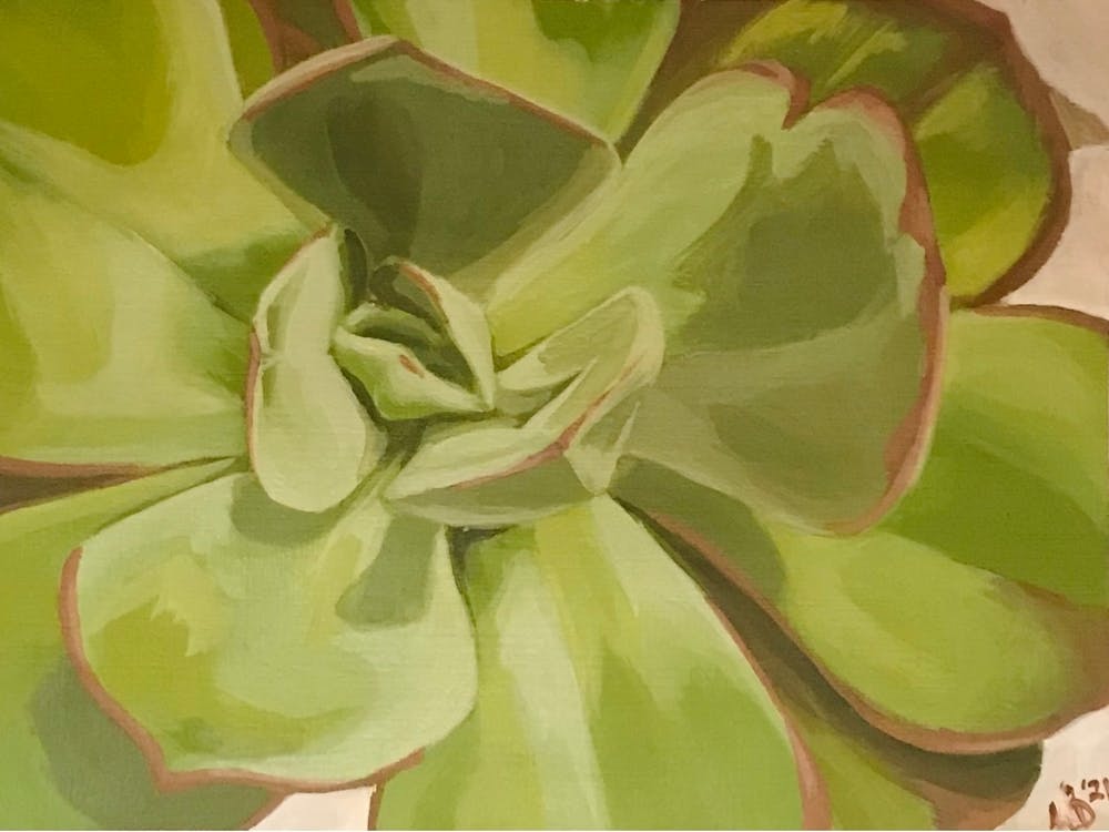 Heart of the Succulent