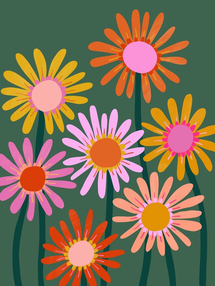 Daisy Flower Field