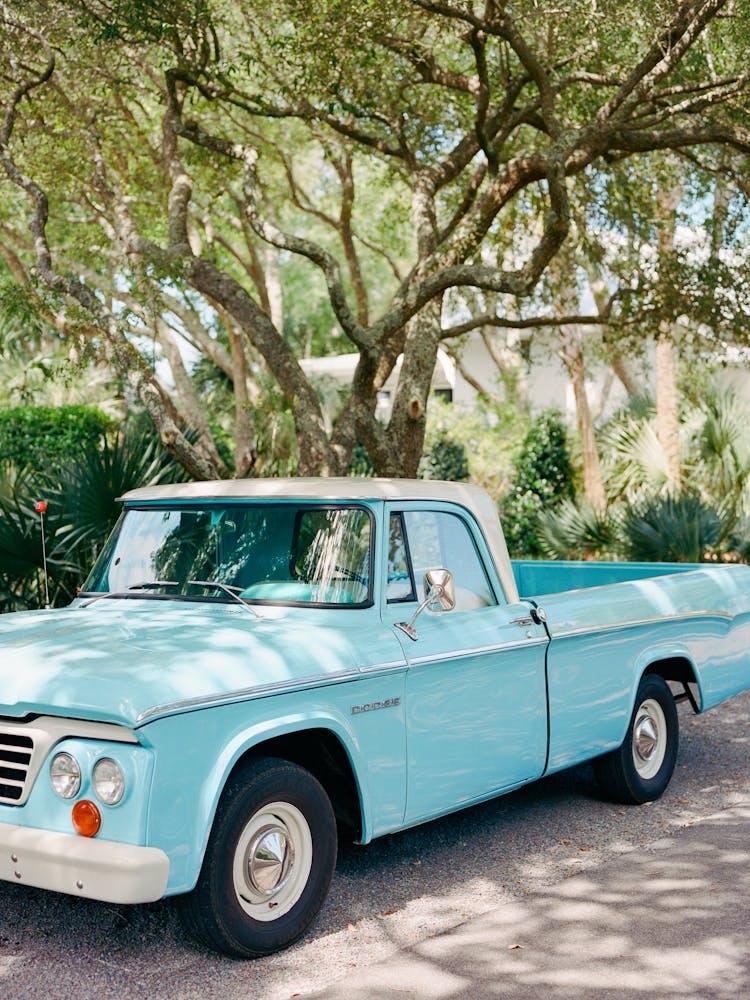 South Carolina Ride on Film