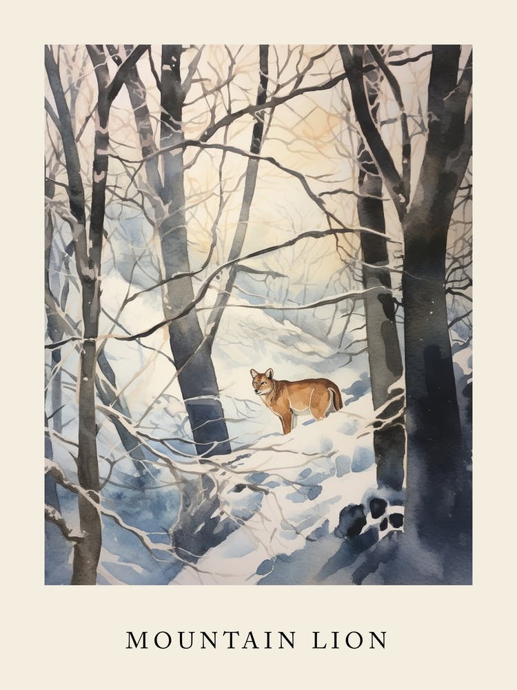 Winter Aquarell Berglöwe 3 Poster