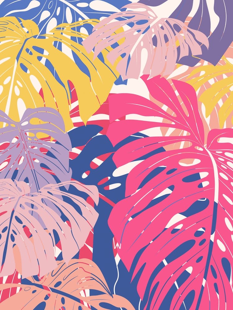 Bunte Monstera-Blätter