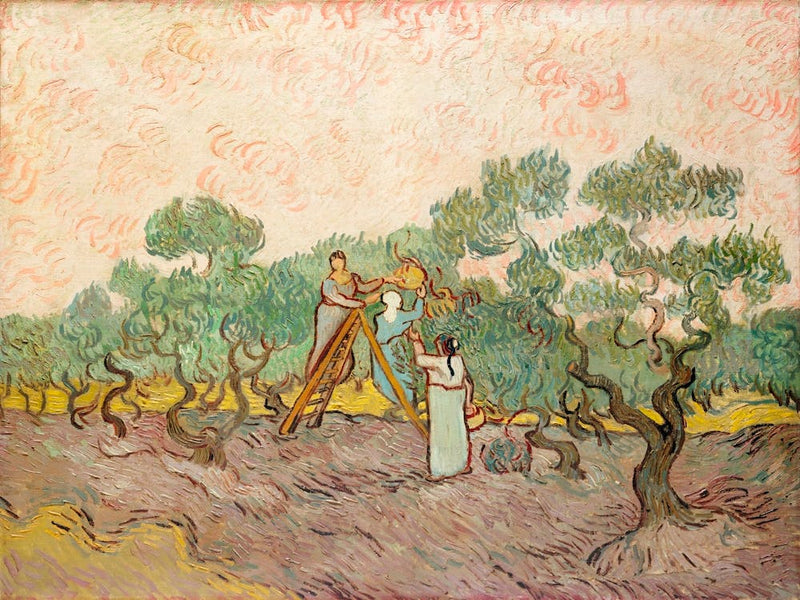 Women Picking Olives (1889), Vincent Van Gogh
