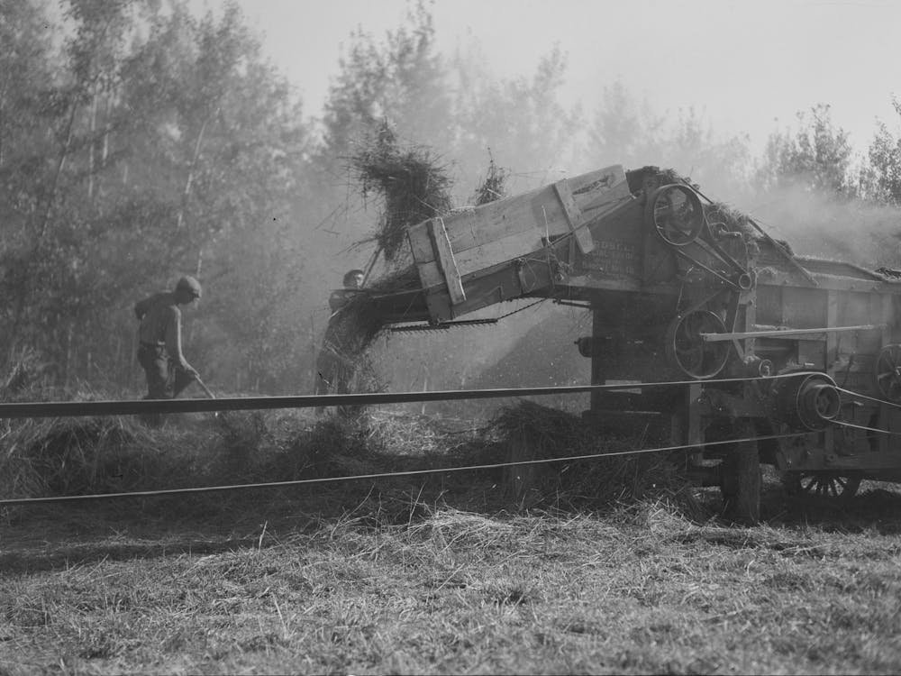 Threshing Clover Seed, A Very Dusty Operation, Near Little Rock, Minnesota By Russell Lee