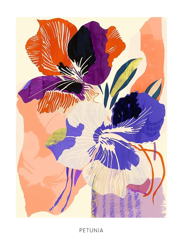 Colourful Flower Illustration Poster Petunia 4