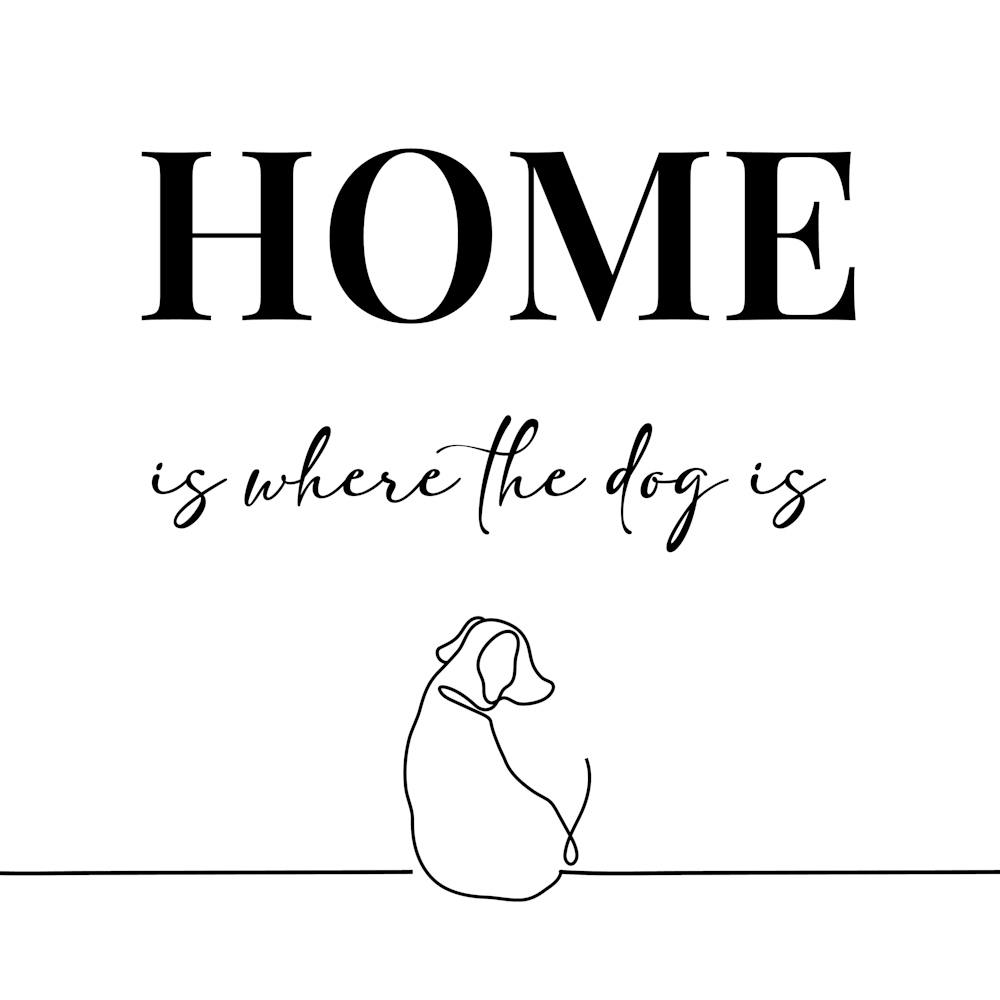 Home Is Where The Dog Is