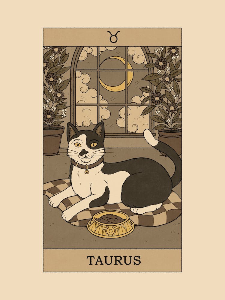 Taurus Cat
