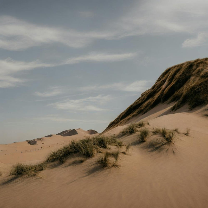 Sand Dunes 1