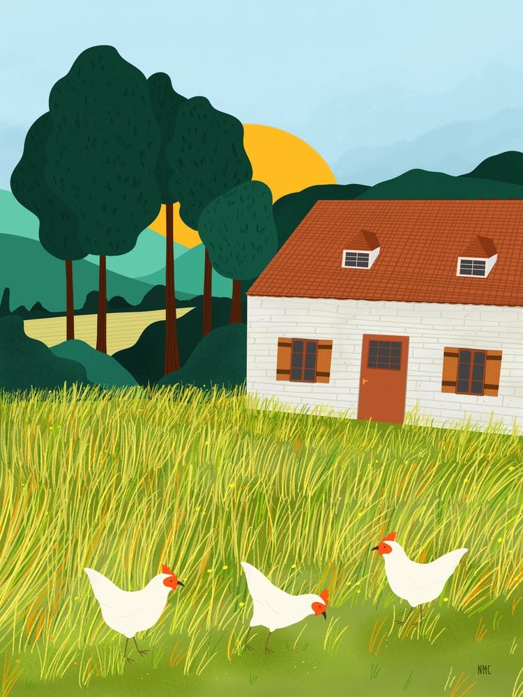 French Country Cottage