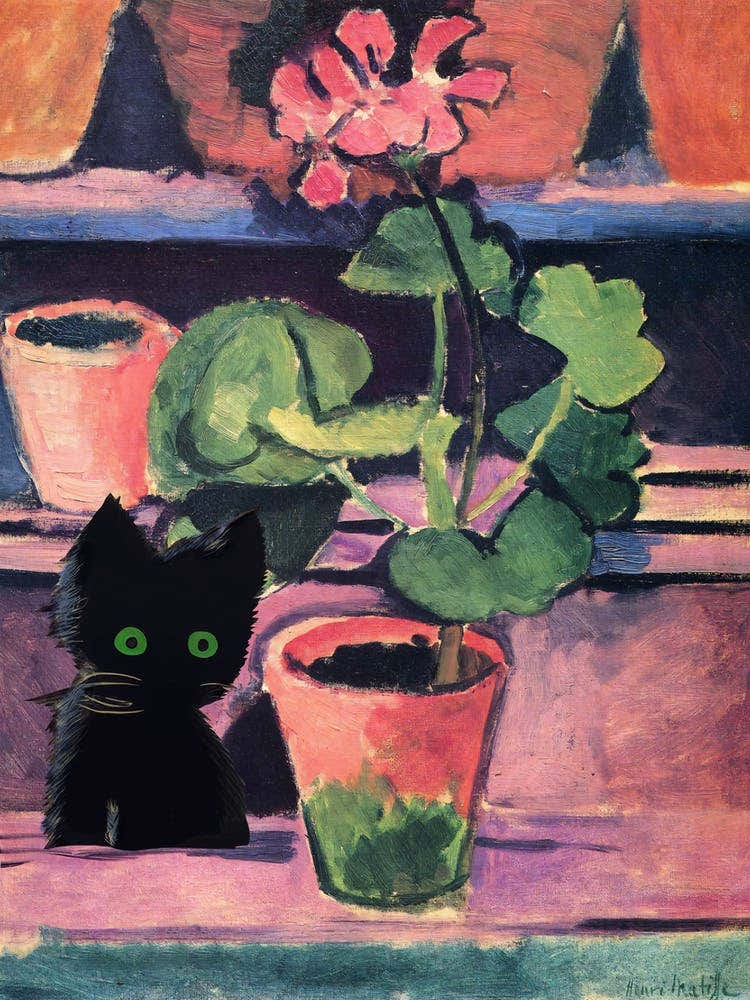 Pot Of Geraniums  Inspired Cat