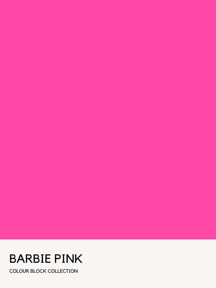 Barbie Pink Colour Block Poster