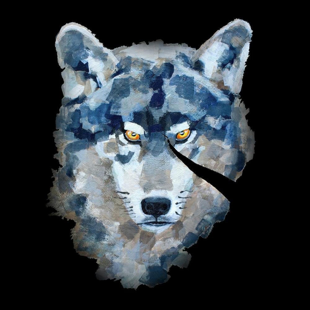 Angry Silver Wolf With A Scar