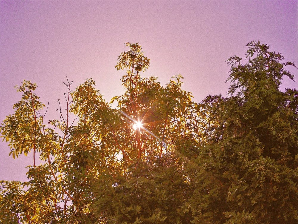 Lever de soleil rose