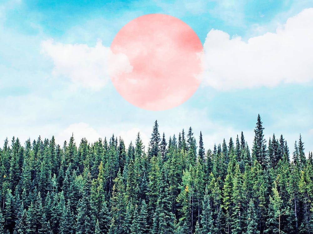 The Best Time For New Beginnings Is Now