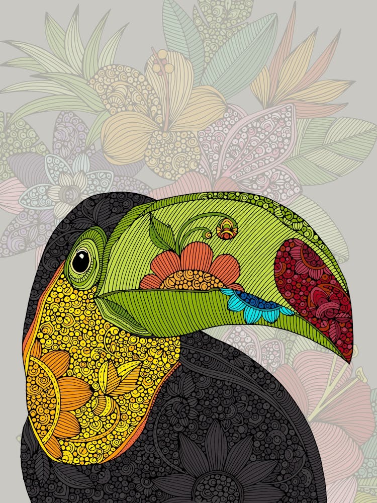 Toucan