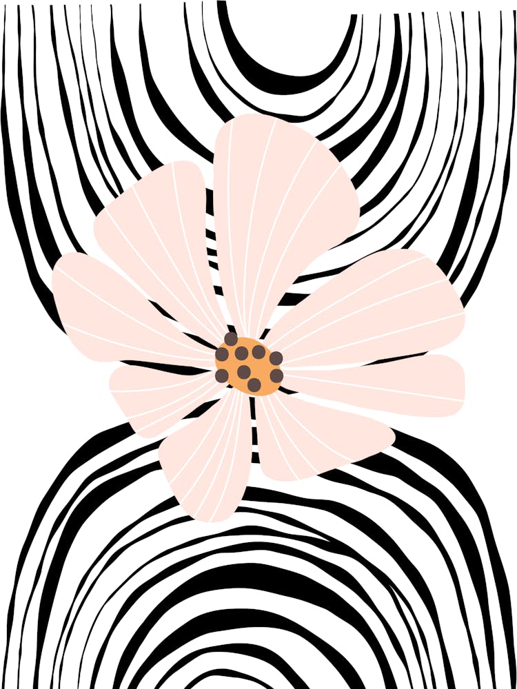 Zebra Flower