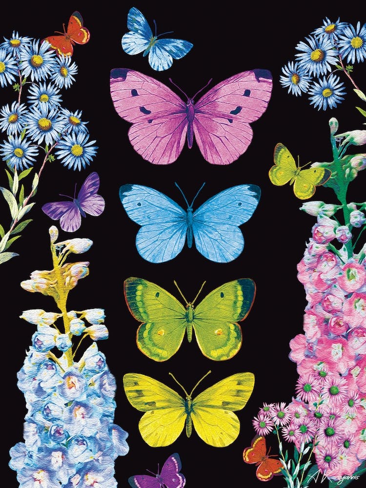 Butterflies And Flowers
