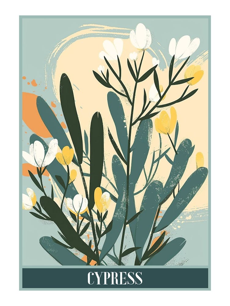 Cypress Tree Flat Illustration 6 Poster
