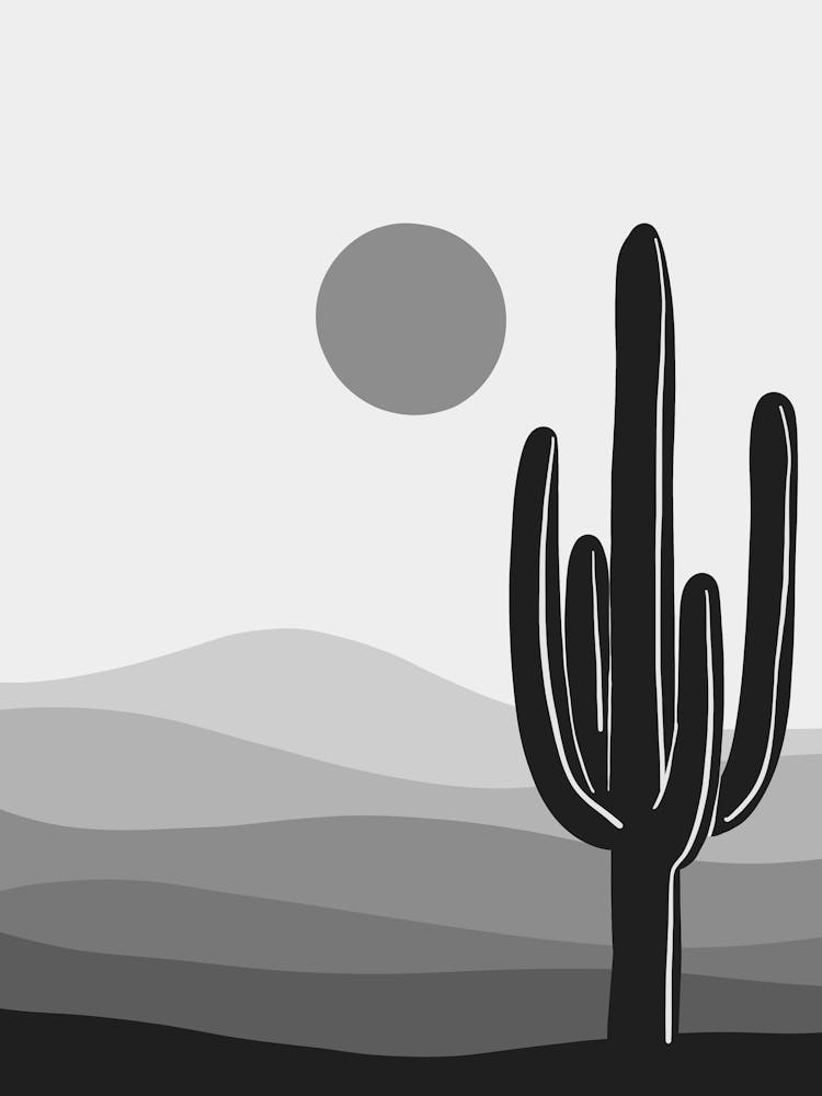 Cactus In The Desert 5