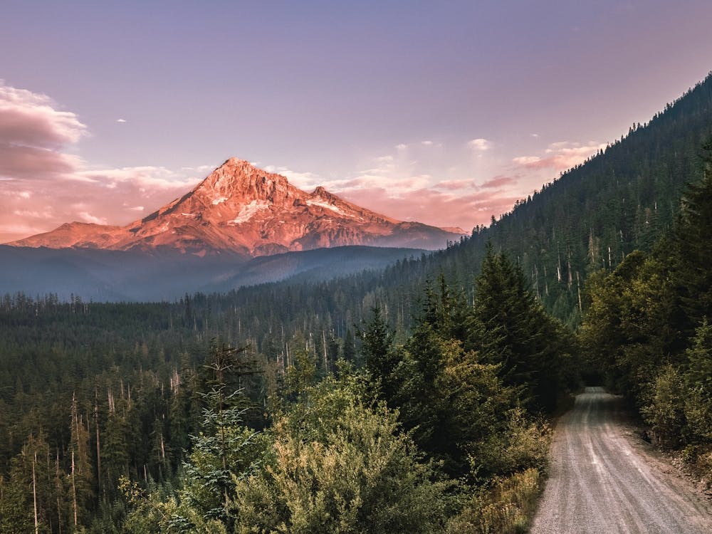 Sunset Over Mt. Hood - Forest Mountains
