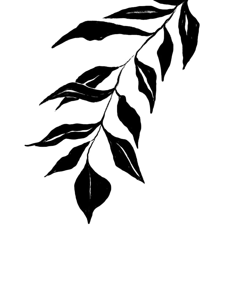 Black leafs 1